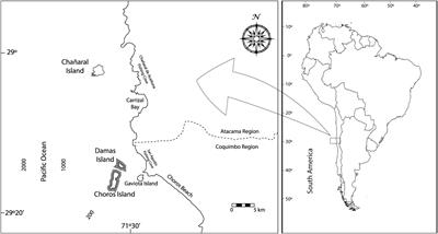 Spatial and Temporal Effects of Whale Watching on a Tourism-Naive Resident Population of Bottlenose Dolphins (Tursiops truncatus) in the Humboldt Penguin National Reserve, Chile